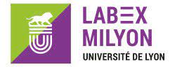 Labex MILyon
